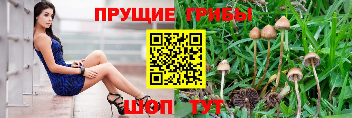Псилоцибиновые грибы Magic Shrooms Люберцы